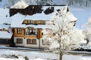 Hotel Gasthaus Hirschen, Todtnau