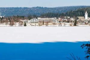 BRUGGER' S Hotelpark Am Titisee, Titisee-Neustadt