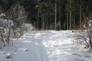 Hotel an der Sonne, Schonwald im Schwarzwald