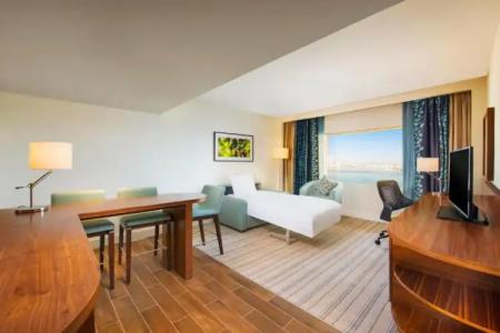 Hilton Garden Inn Ras Al Khaimah - 114