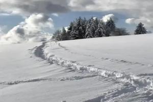 Der Hirschen, Sankt Margen