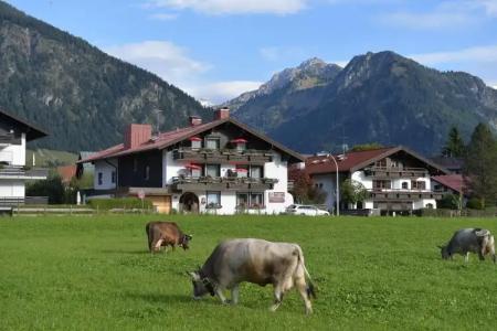 Best Western Plus Alpenhof - 21