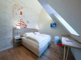 Standard Attic room