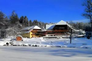 Landhaus Lauble, Hornberg