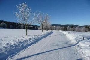 Bio- und Wellnesshotel Alpenblick, Hochenschwand