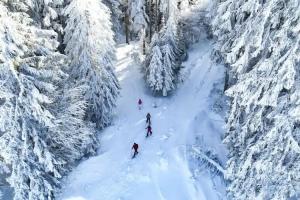 NATURE TITISEE - Easy.Life.Hotel., Titisee-Neustadt