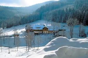 Waldhotel Fehrenbach, Hinterzarten