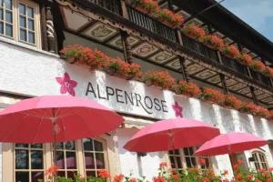 Alpenrose Bayrischzell Hotel, Bayrischzell