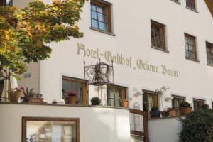 Hotel Restaurant Gruner Baum und Altes Tor, Bad Waldsee