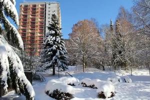 Familien Aparthotel Panoramic, Bad Lauterberg