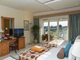 Superior Double room with pool view