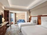 Deluxe Double room with balcony and with Nile view