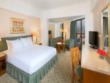 Deluxe Double room with Nile view