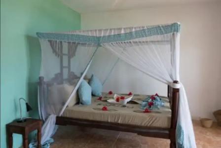 Reef & Beach Resort - Spa Jambiani - 126