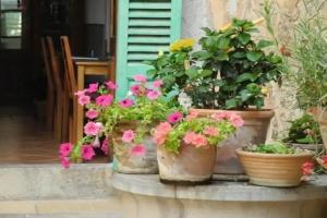 Casa Bougainvillea, Soller