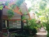 Standard Double Bungalow with balcony