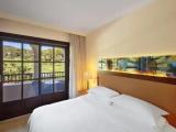 Deluxe Double room with balcony and with resort view