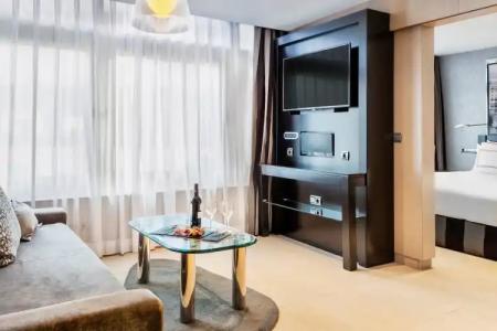 Melia Madrid Princesa - 75