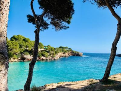 Cala d'Or Gardens - 22