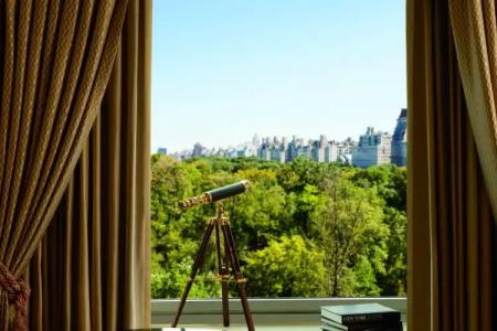 The Ritz-Carlton New York, Central Park - 7