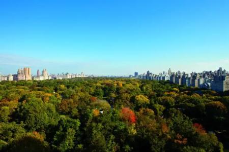 The Ritz-Carlton New York, Central Park - 28