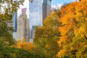 JW Marriott Essex House New York, New York