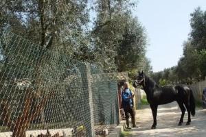 Farm Stay «Agriturismo Montenachiro», Vignacastrisi