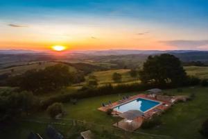 Fattoria Poggio Foco, Manciano