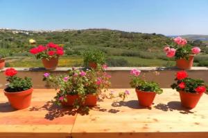 Mediterranea Seaviews Gozo, Ghajnsielem