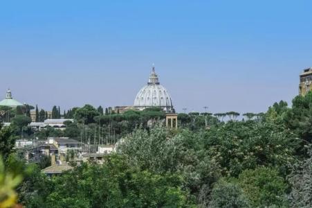 Cardinal St. Peter - 123