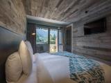 Standard Double room with balcony and with mountain view