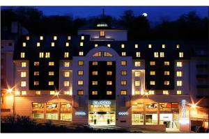 Hotel Eliseo, Lourdes