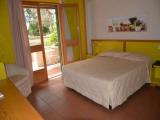 Deluxe Double room with garden view