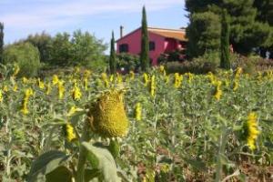 Locanda le Mandriane, Albinia