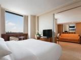 1 Bedroom Junior Suite with city view