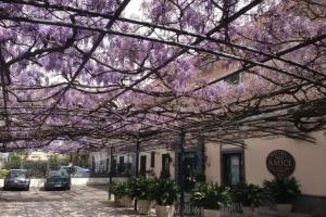 Hotel Degli Amici, Pompei