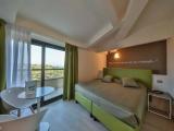 Standard Double room with balcony and with lake view