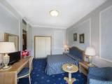 Superior Double room with balcony and with garden view