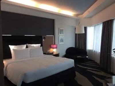 Pullman Kuala Lumpur Bangsar - 4