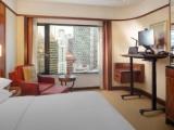 Premier Business Double room