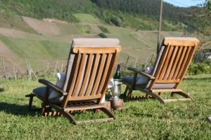 Weingut-Brennerei-Gastehaus Emil Dauns, Reil