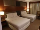 Deluxe Double room with city view