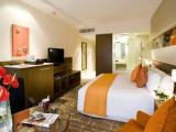 Premium Deluxe Double room with garden view