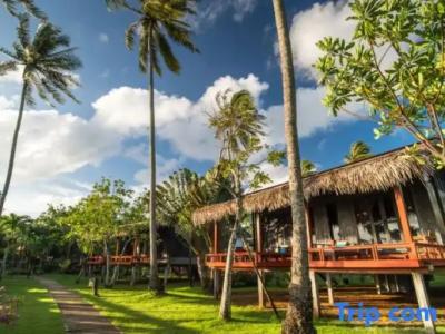 Islanda Hideaway Resort - SHA Extra Plus - 36