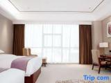 Business Double room with city view