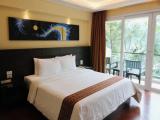 Deluxe room with balcony and with garden view