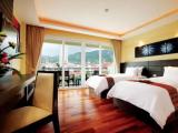 Deluxe Double room with balcony and with garden view