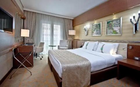 Holiday Inn Ankara-Kavaklidere, an IHG - 129