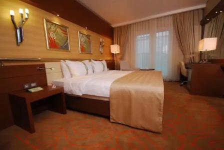 Holiday Inn Ankara-Kavaklidere, an IHG - 108