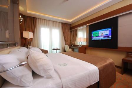 Holiday Inn Ankara-Kavaklidere, an IHG - 137